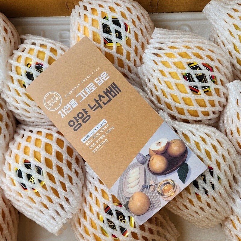 맞이터농원,양양의 밤하늘이 키워낸 달콤한 낙산배