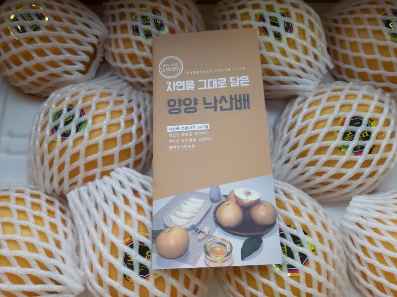 맞이터농원,양양의 밤하늘이 키워낸 달콤한 낙산배